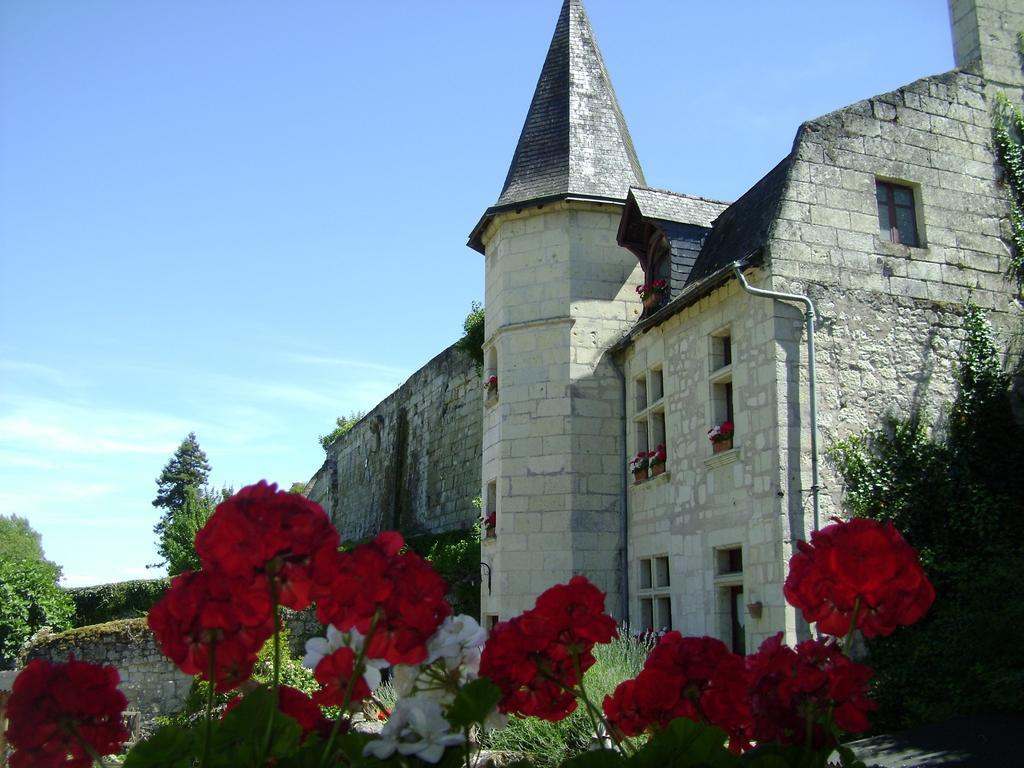 Le Petit Hureau Saumur Luaran gambar