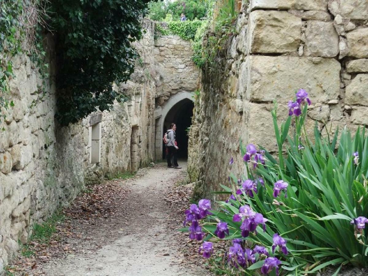 Le Petit Hureau Saumur Luaran gambar